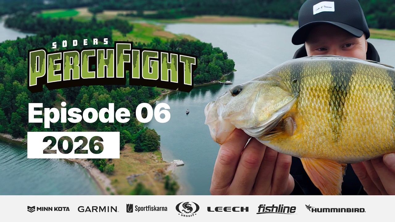 PerchFight 2026 | Episode 6