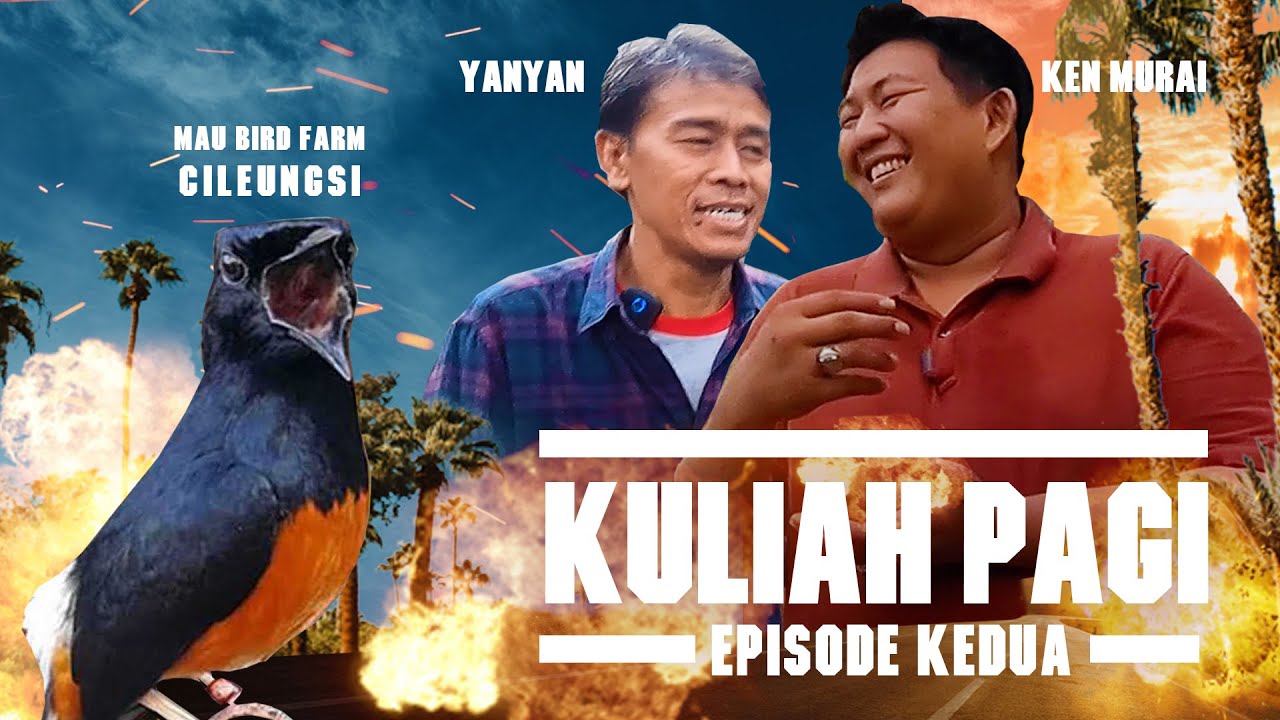 KULIAH PAGI KEN MURAI #2😎 Raup Untung Kumpulkan Indukan RAS PETARUNG Di MAU SF Cileungsi