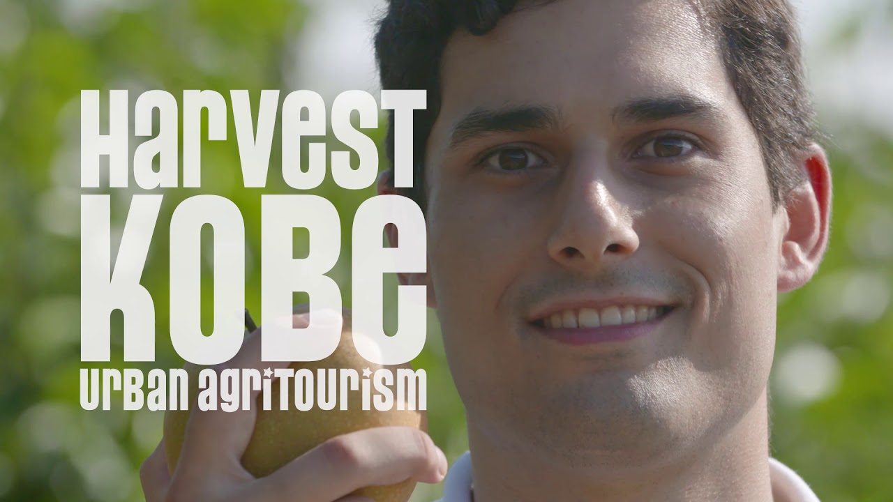 HARVEST KOBE 