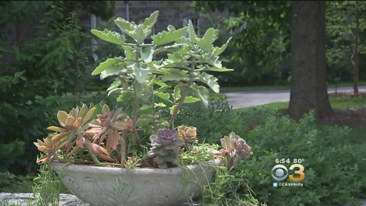 Dream Drives: Free Year-Round Exploration At Scott Arboretum