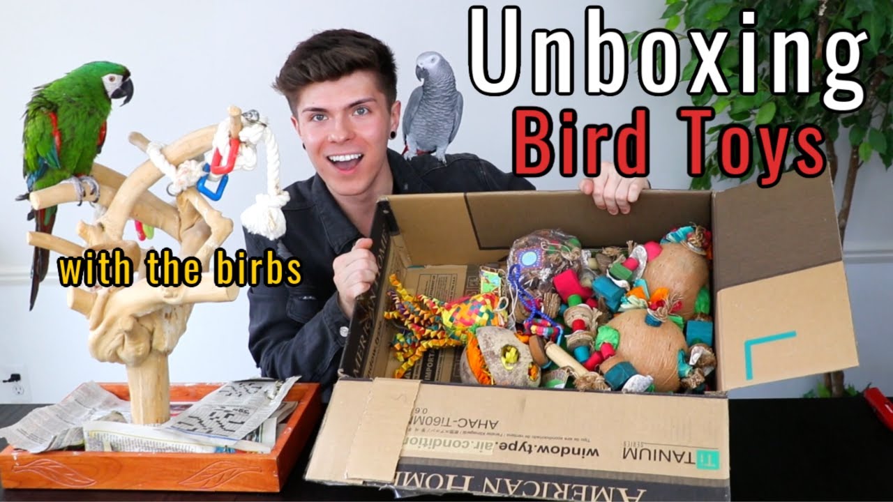 Unboxing Bird Toys with My Birds!