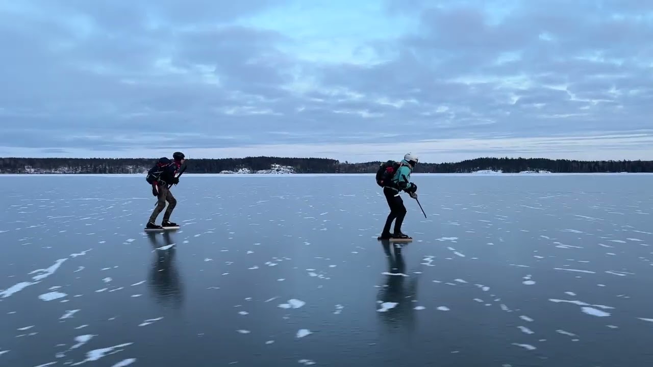 Gripsholmsviken