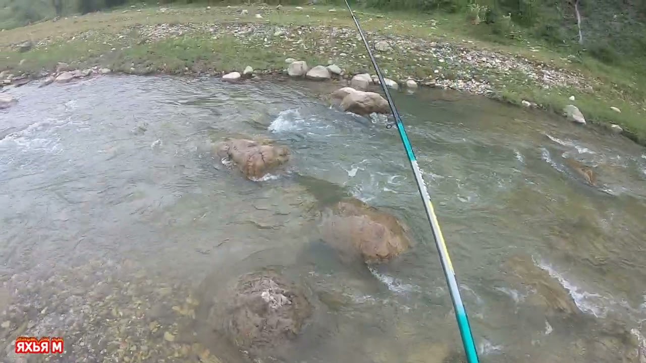 Ловля Усача в горной реке Ярык-Су.