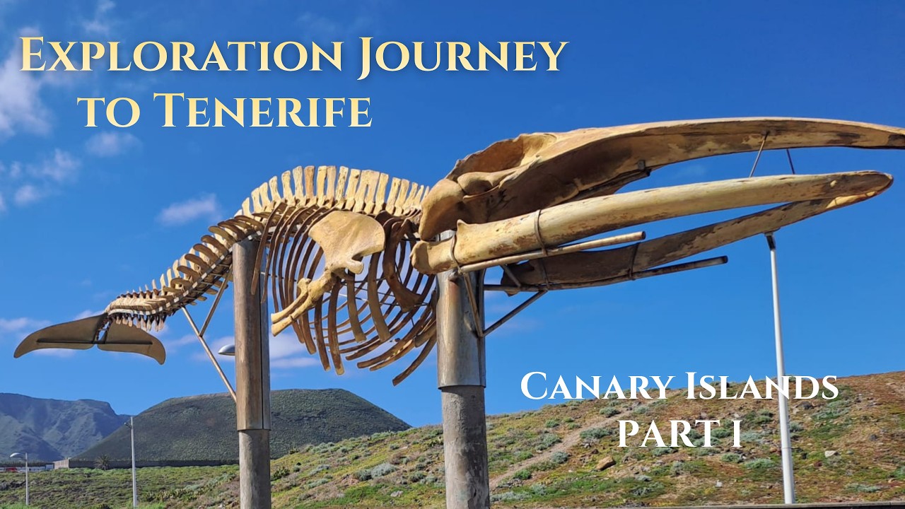 Исследовательское путешествие на Тенерифе, Канарские острова &ndash; ЧАСТЬ I