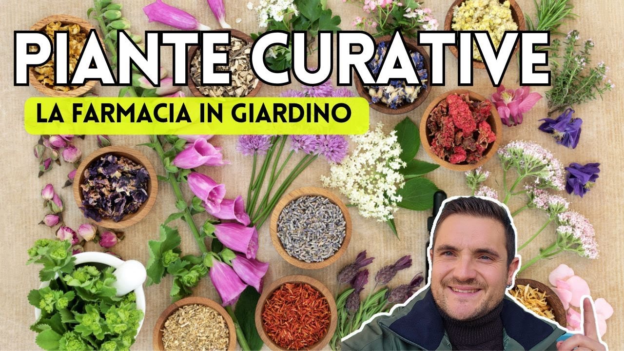 La Farmacia in Giardino – Le 10 piante medicinali facili e utilissime