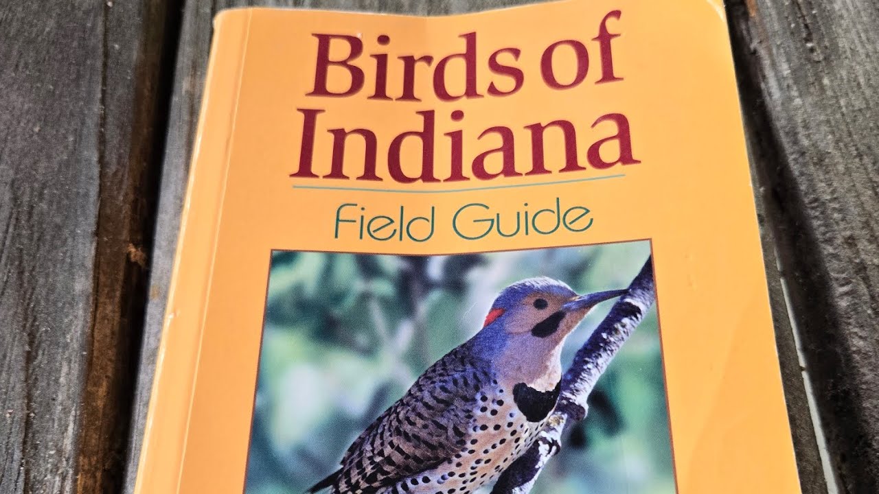 Birds of Indiana Field Guide by Stan Tekiela- A Review