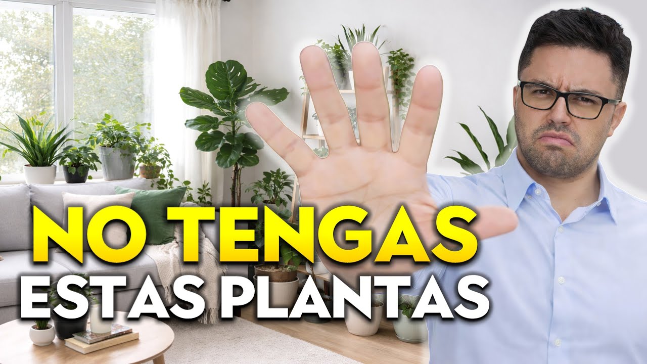 Tu Casa Se Verá Más Cara con Estas Plantas Ideas para Decorar Fácil #plantas #home #decoracion