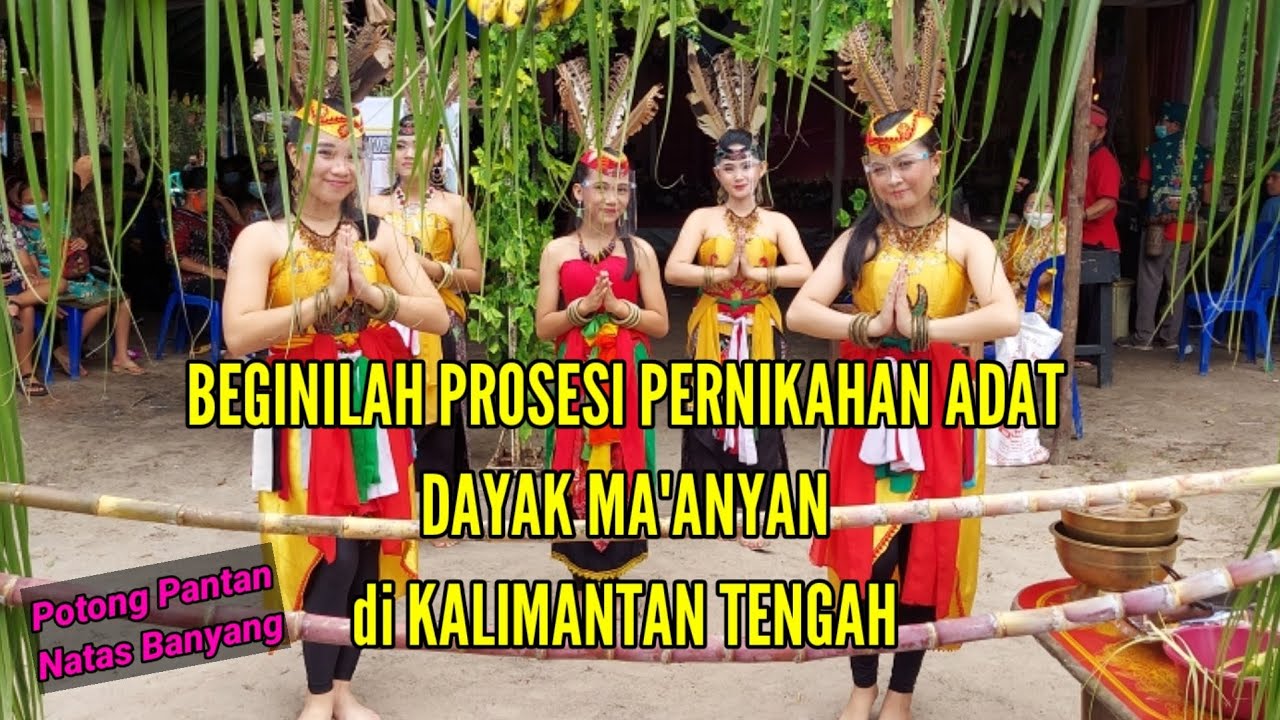 Prosesi Pernikahan Adat Dayak Maanyan Menyambut Mempelai Pria Dayak Katingan Kalimantan Tengah