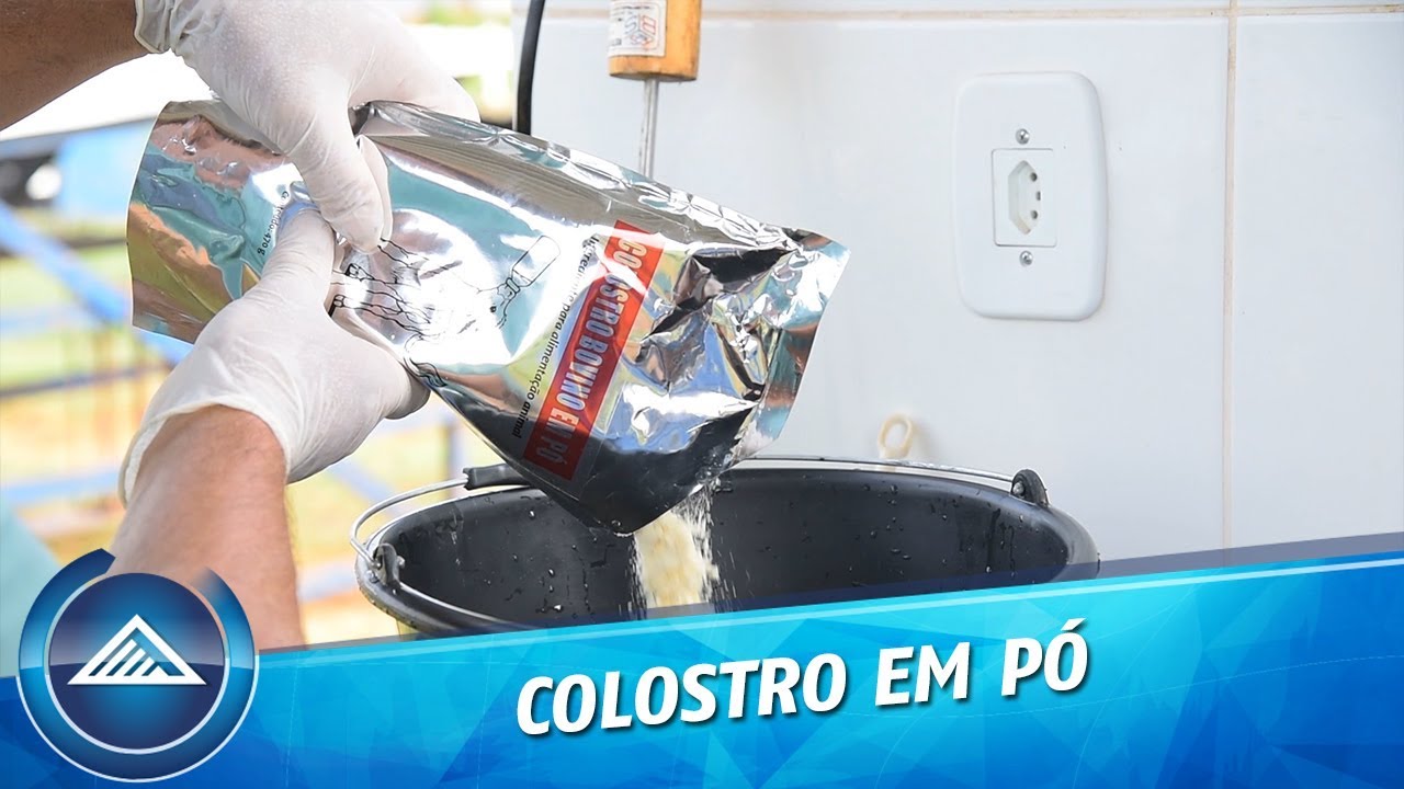 Colostro em pó - Rafael Azevedo, Gerente de Produto Colostro