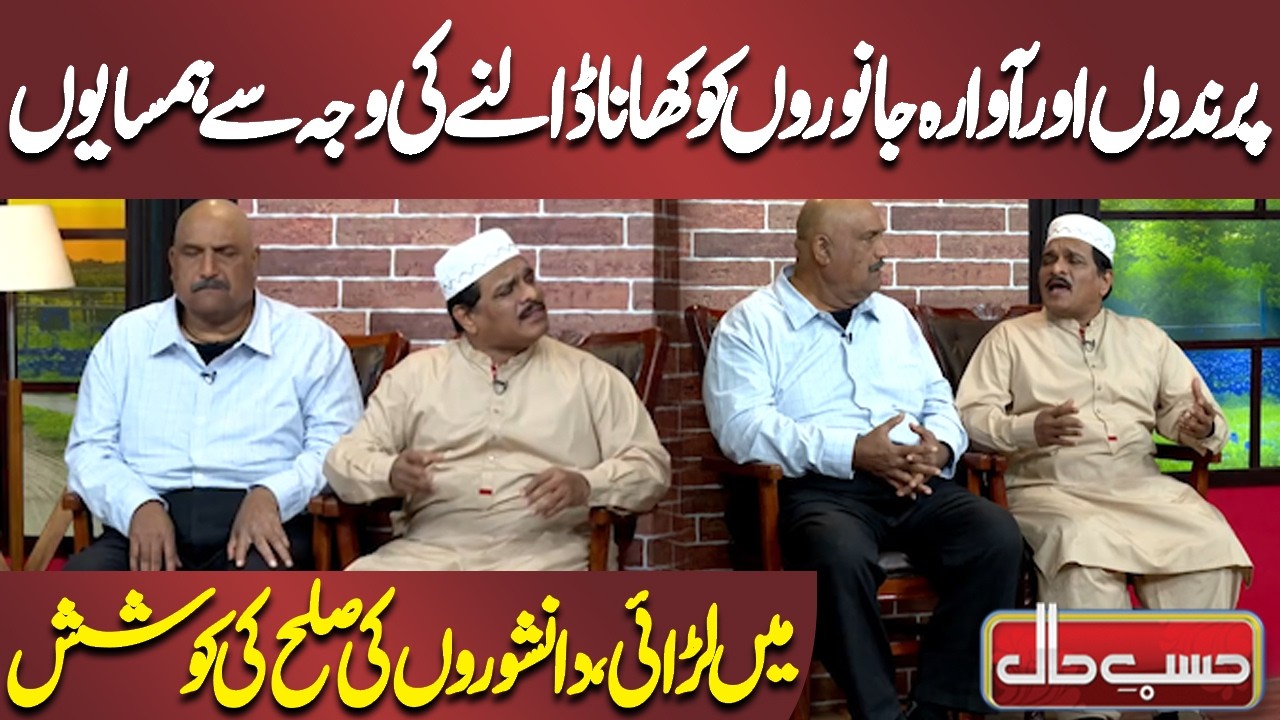 Parindon Aur Aawara Janwaron Ko Khana Dalne Ki Wajah Se Hamsayon Mein Larai | Azizi | Hasb-e-Haal