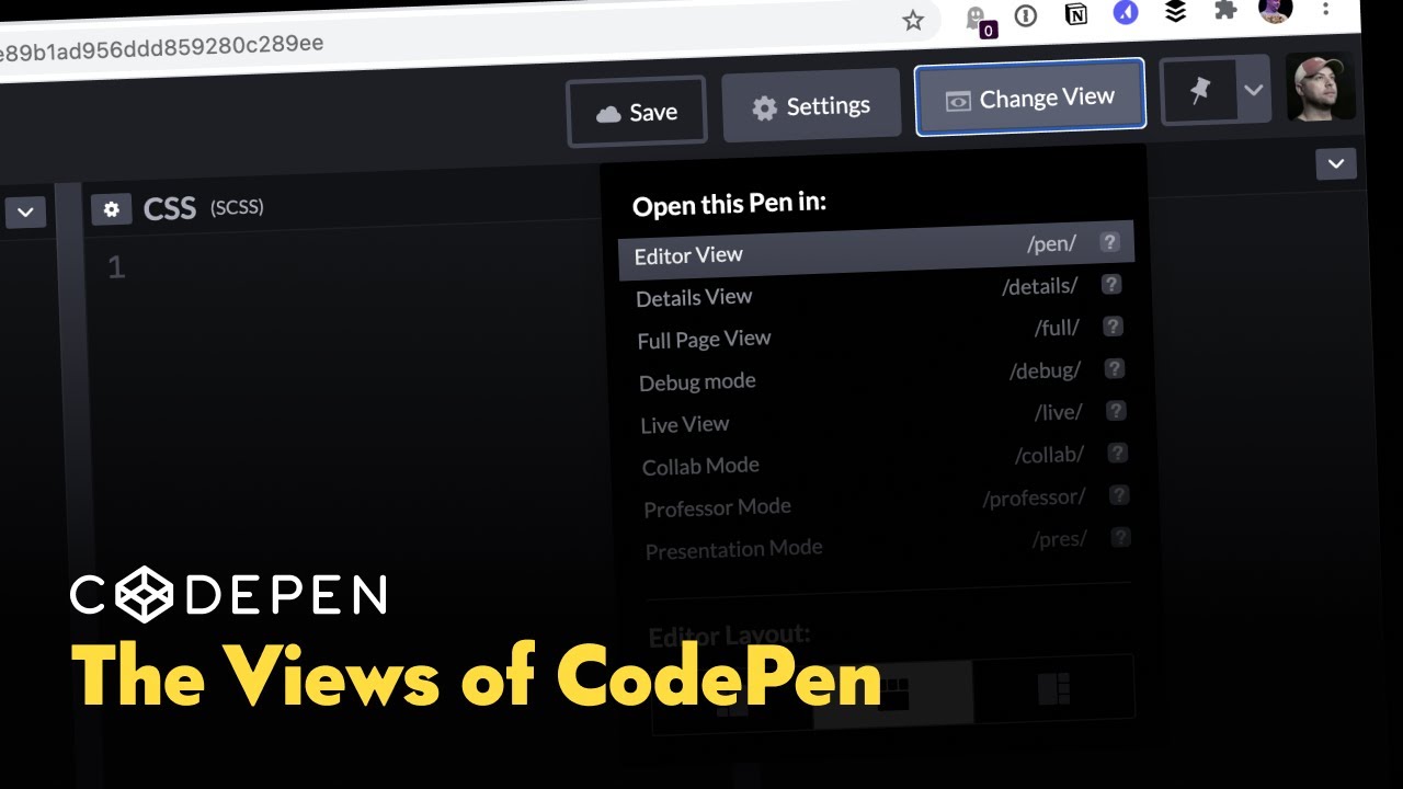 The Views of CodePen