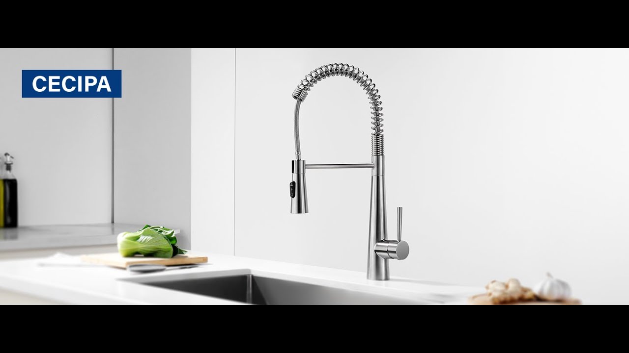 CECIPA Wasserhahn Küche mit Herunterziehen Brause Ausziehbar