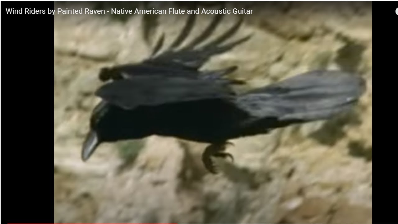 Wind Riders by Painted Raven - Native American Flute and Acoustic Guitar