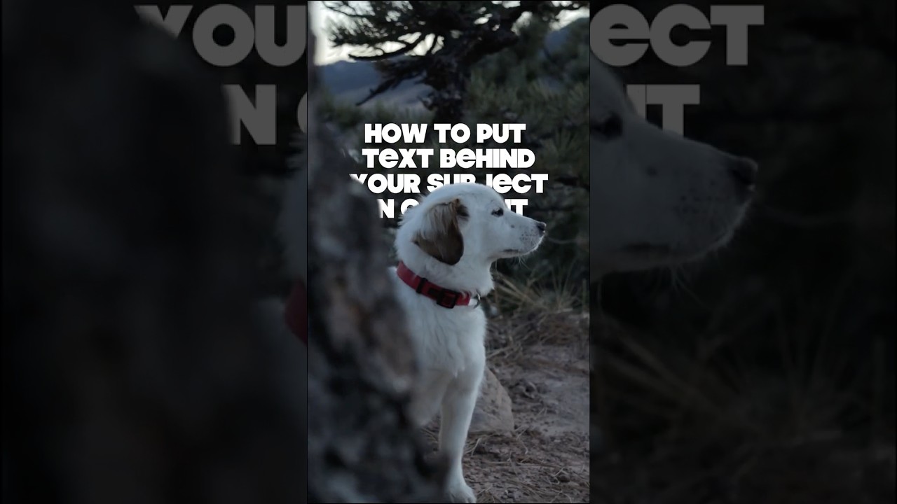 How to Put Text Behind a Subject in CapCut Desktop