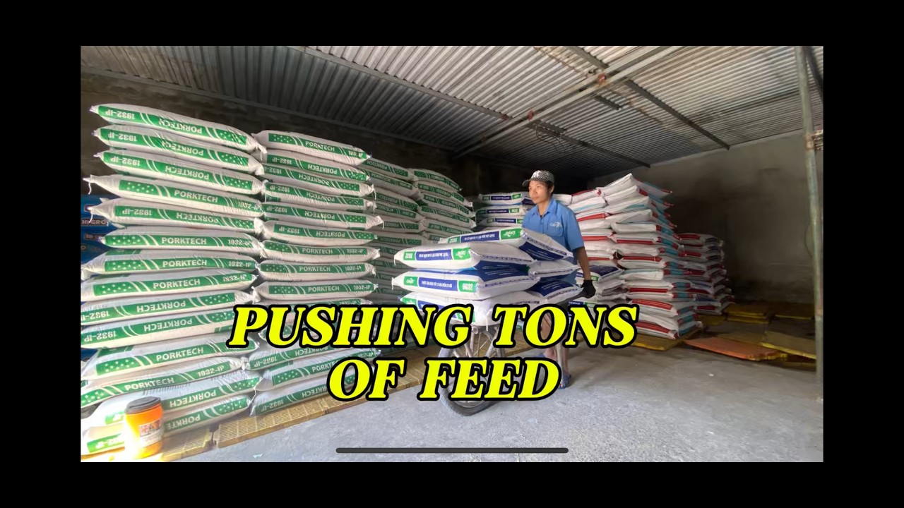 Moving Tons of Pig Feed by Hand