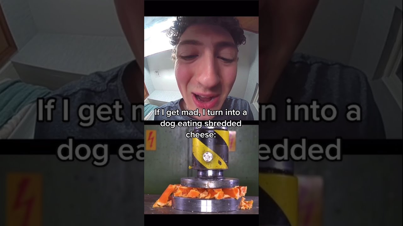 If I Get Mad, I Turn Into a Dog Eating Shredded Cheese (Ring Doorbell React)