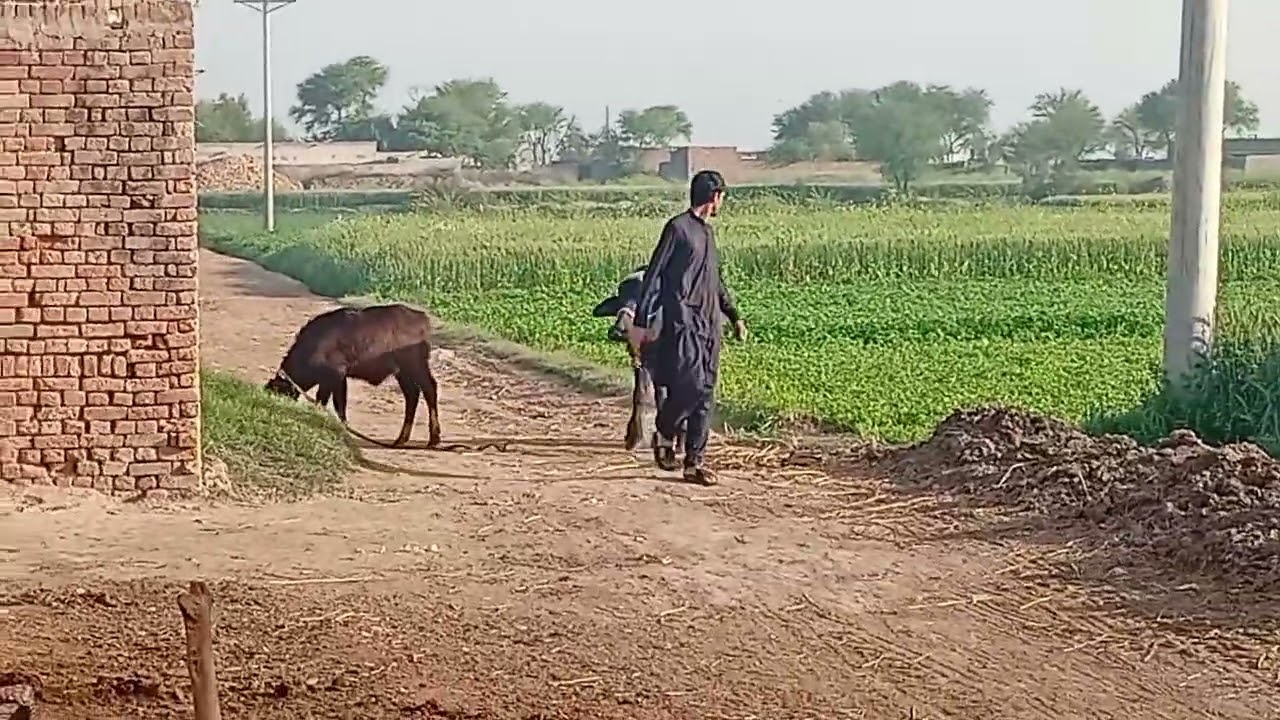 اس ویڈیو کو زیادہ سپورٹ کرو سبسکرائب کرو 