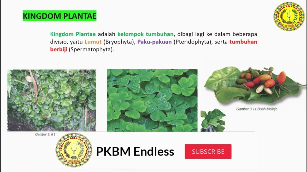 Modul 2 IPA Paket B Makhluk dan Benda di Sekitar Kita