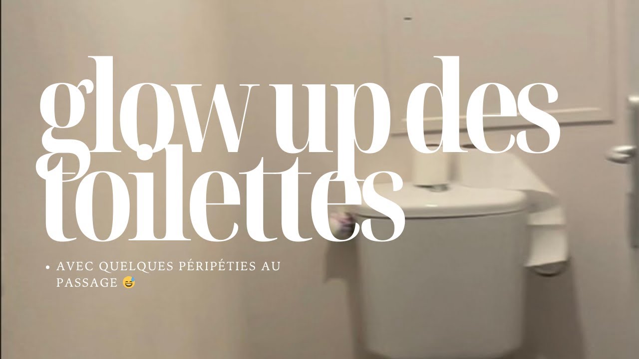 Transformation rapide des toilettes 🚽