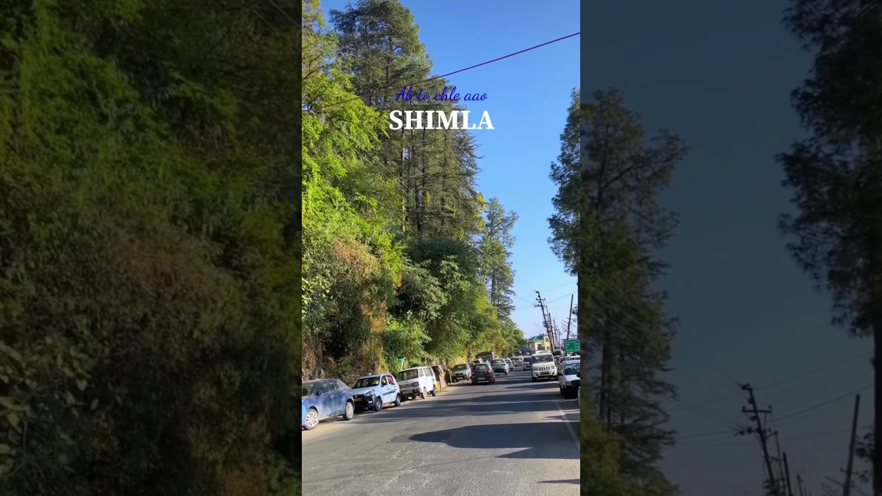 Shimla's Hidden Beauty You Must See! ⛰️☁️ 
