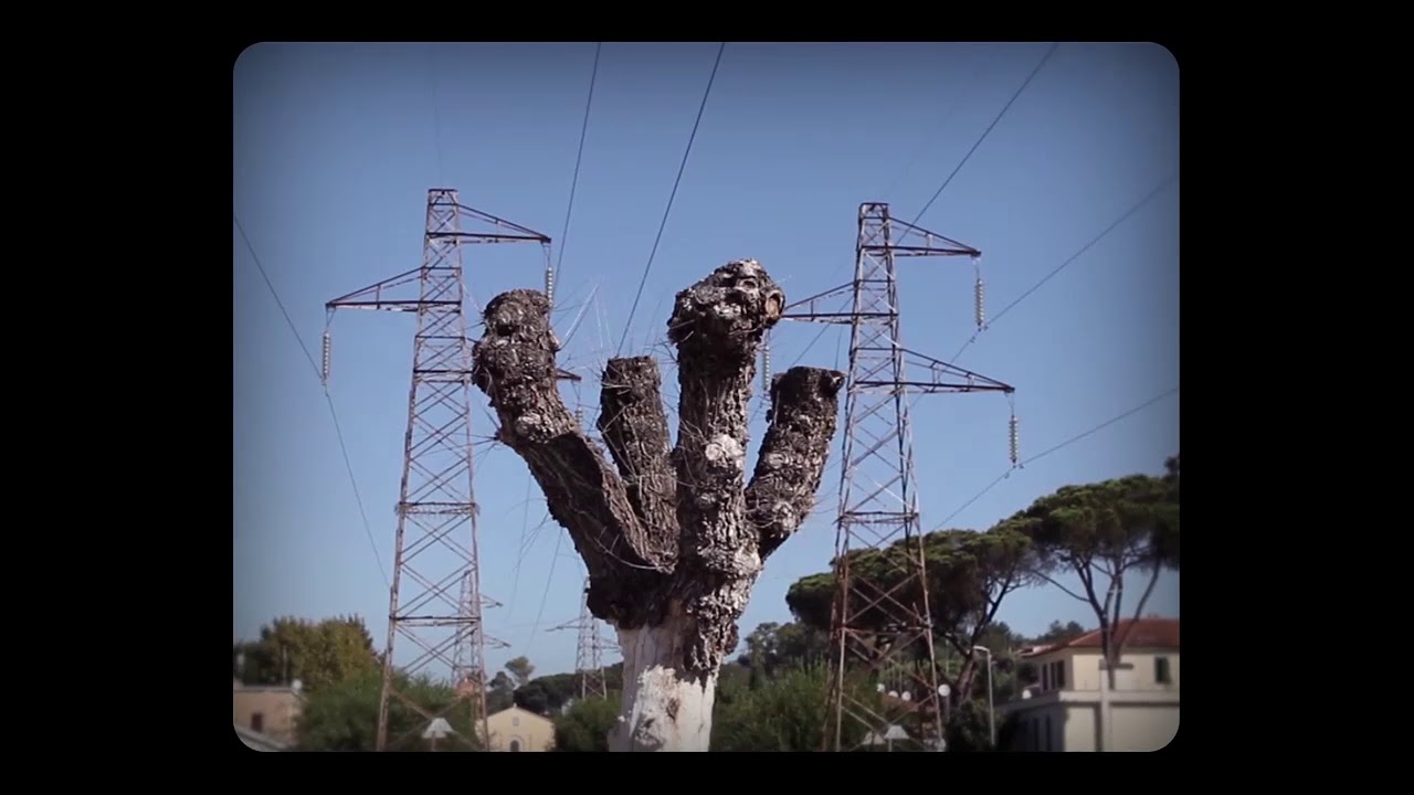 John Cascone, Metamorfica, 2020