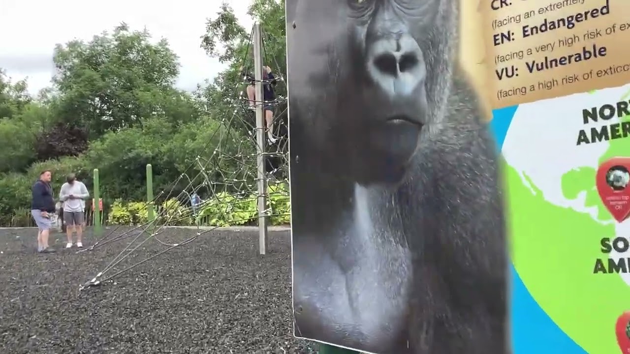 Belfast Zoo