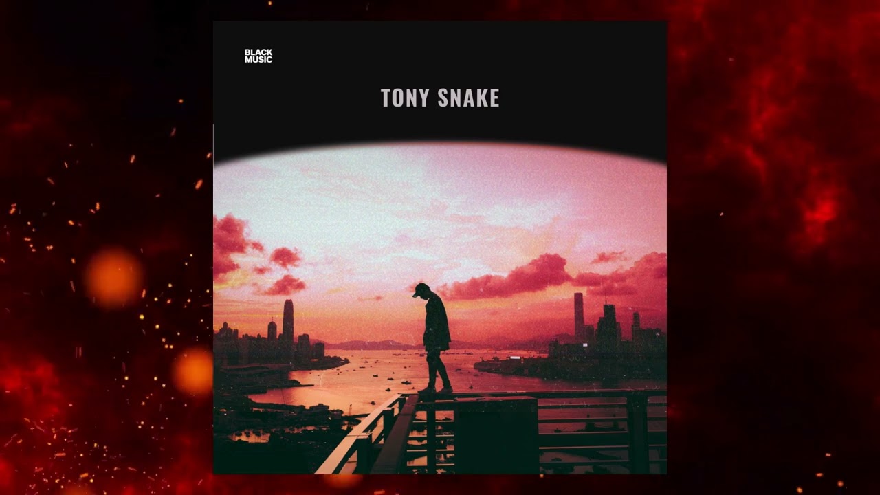 BLACK MUSIC - TONY SNAKE
