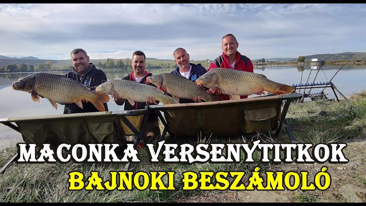 MACONKA VERSENYTITKOK - Bajnoki besz&aacute;mol&oacute;