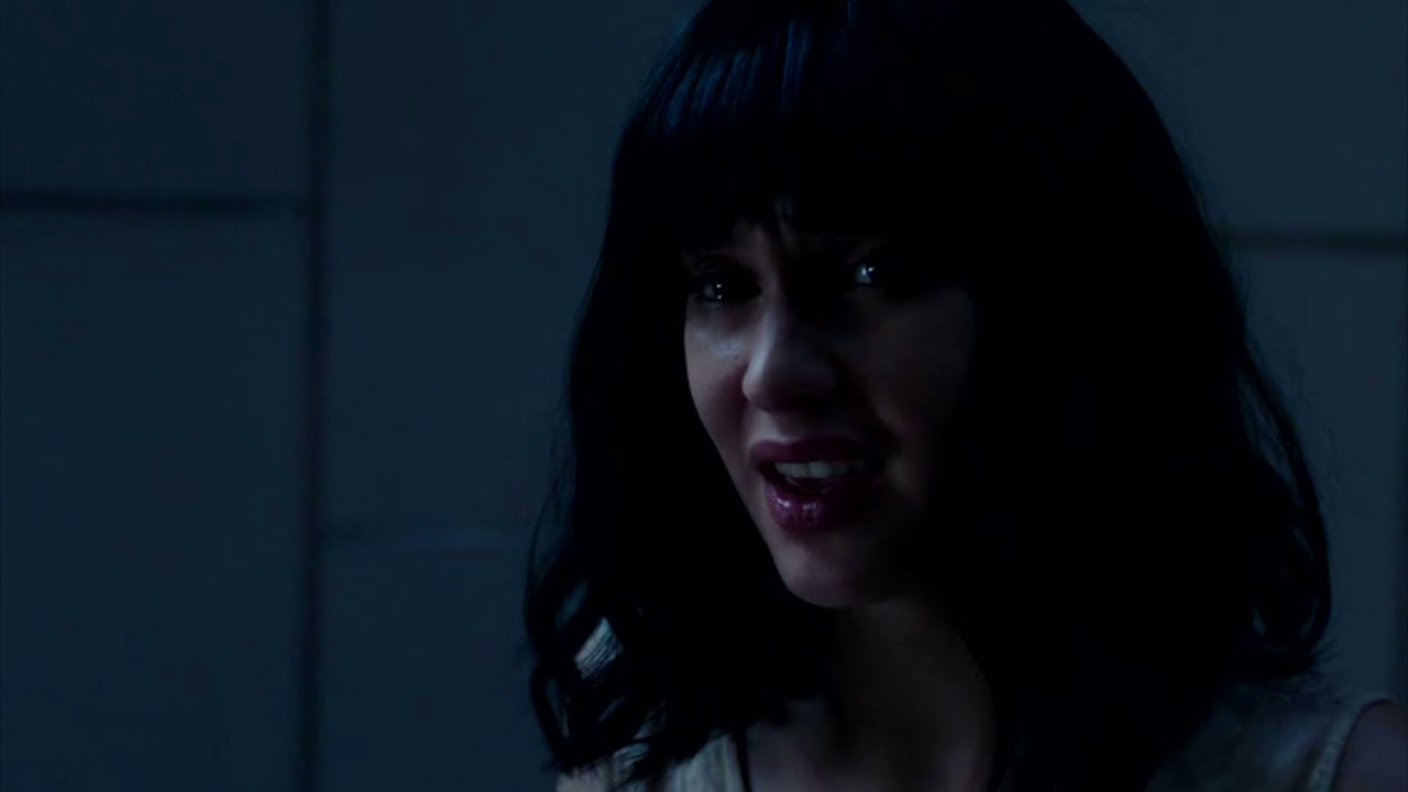 Dirk Gently's Holistic Detective Agency - Dynasty
