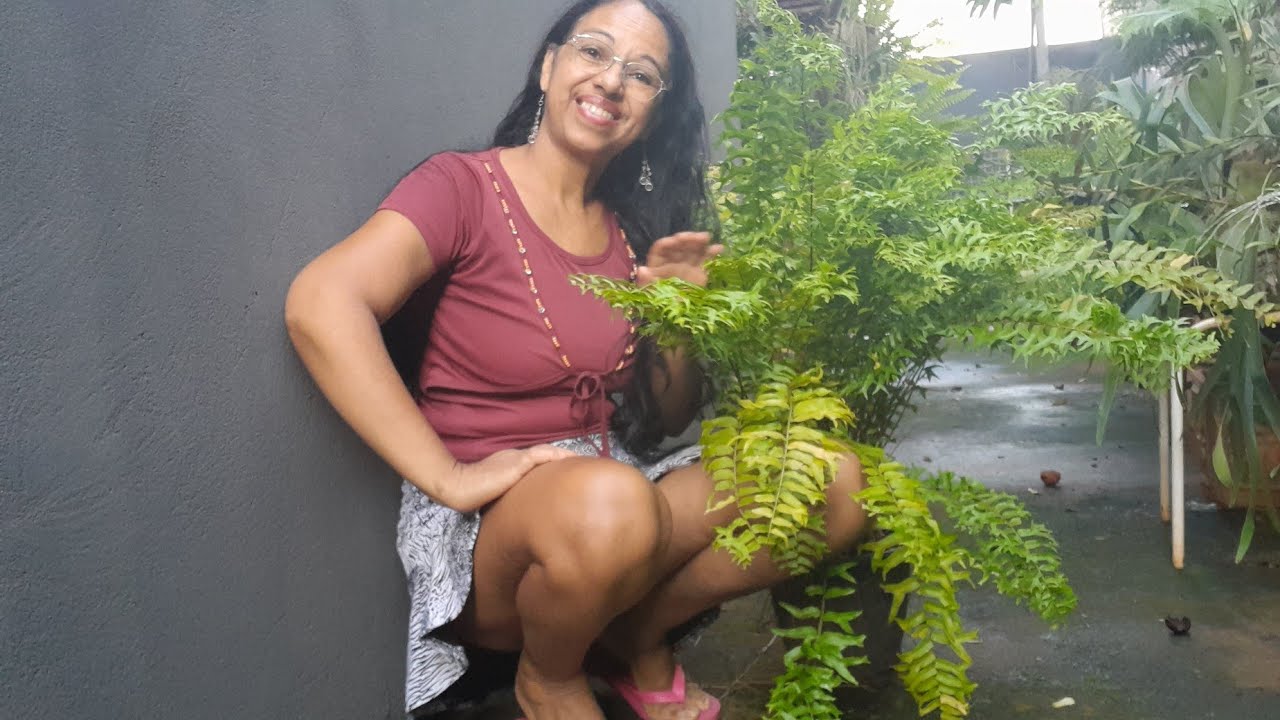 Meu jardim soteim verde 