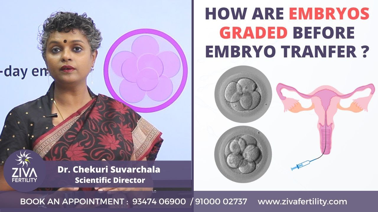 Embryo Grading || IVF Procedure Step By Step || Dr C Suvarchalaa || ZIVA Fertilityy