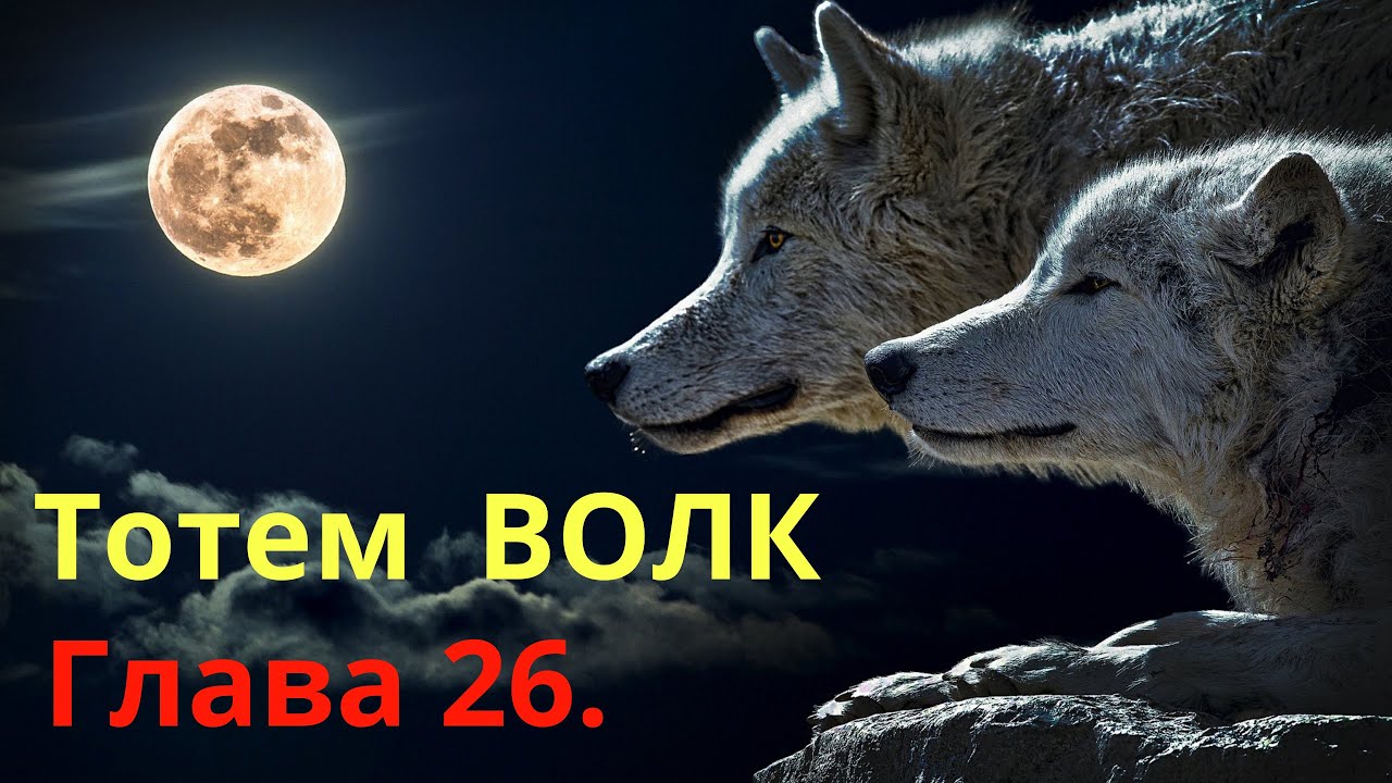 Тотем ВОЛК. Глава 26. Хранитель 