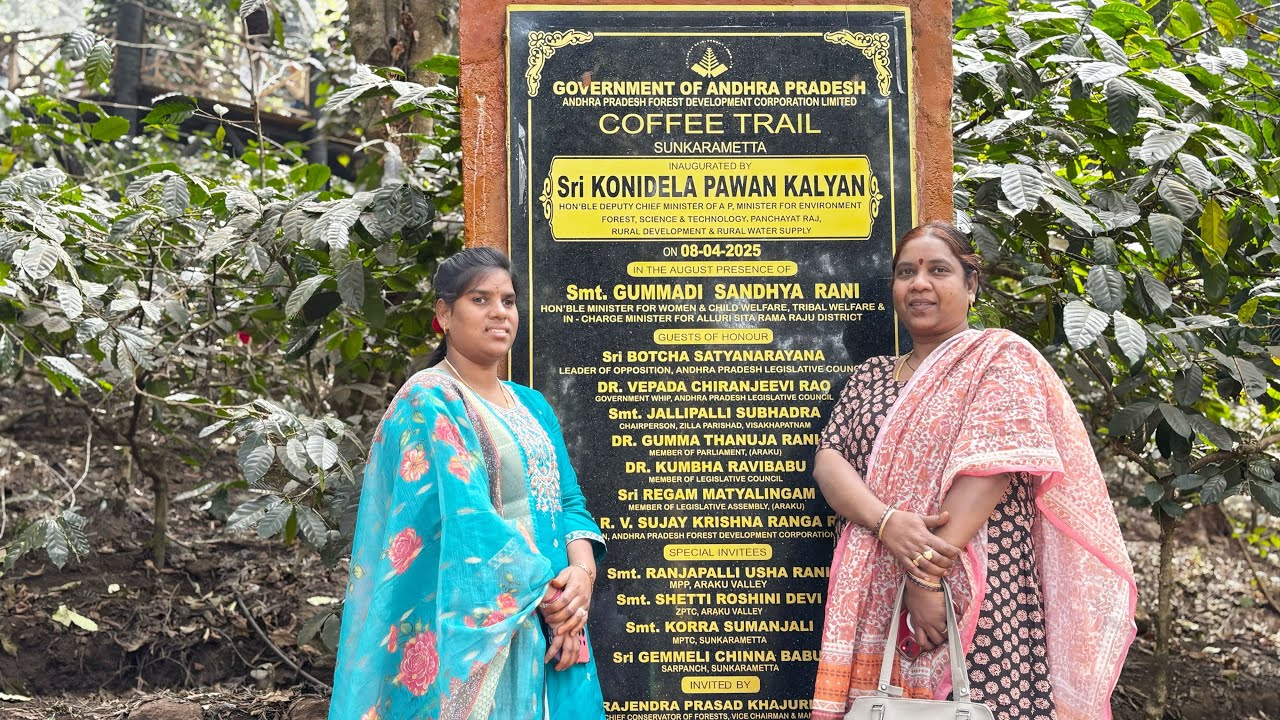 కాఫీ తోటలు and మిరియాల తోటలు(araku)#araku #arakucoffee #1million 