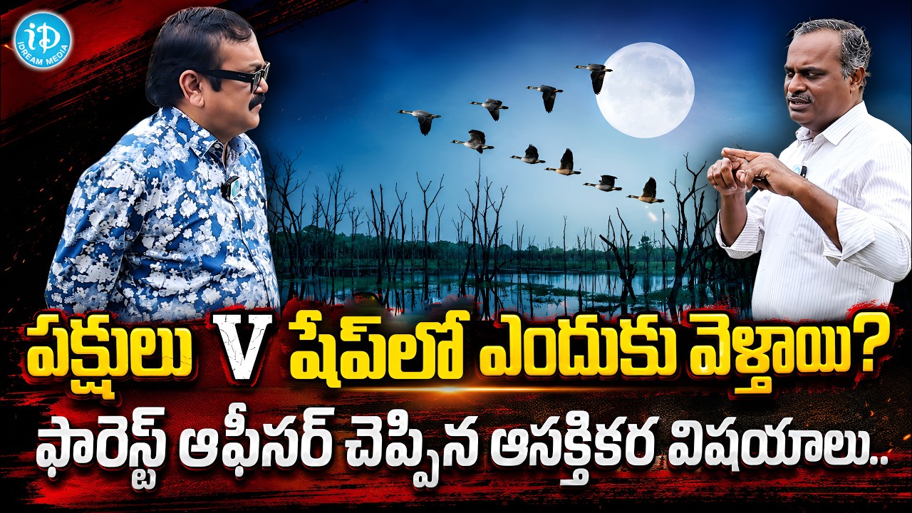 Forest Officer Rammohan Exclusive Interview With Muralidhar #forest #telugu #tiger | iDream Media