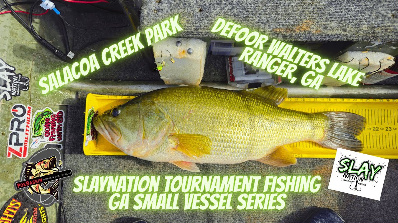 Slay Nation Tournament Fishing - Stage 8 Salacoa Creek Park - Defoor Walters Lake