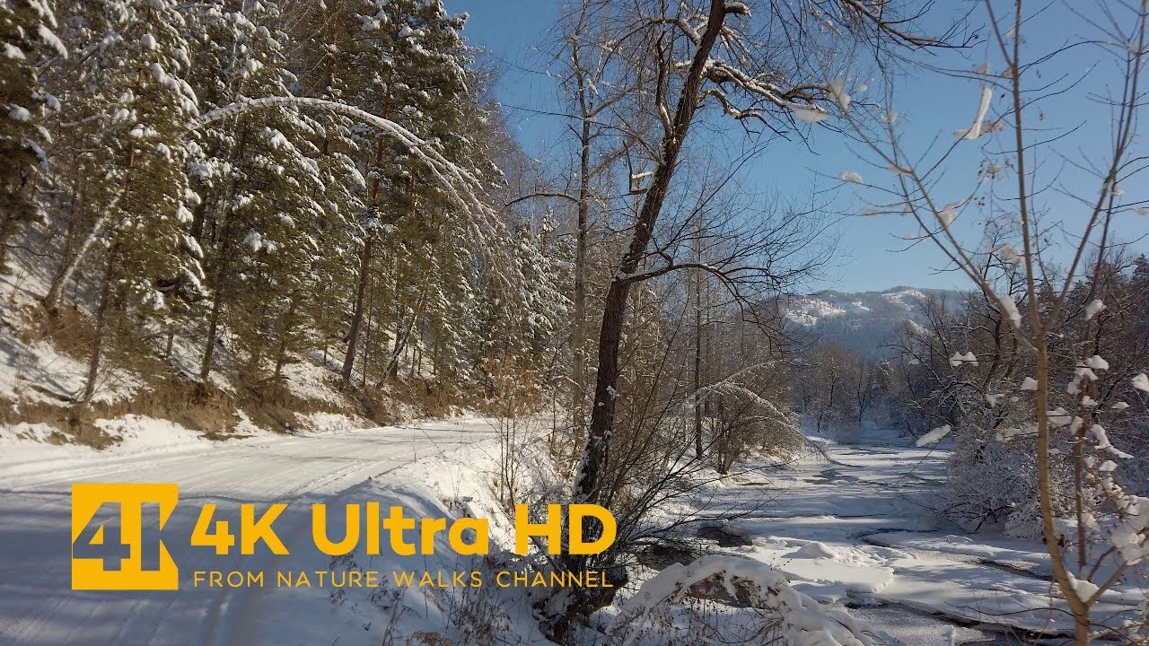 Small Winter Walk through the Country Road