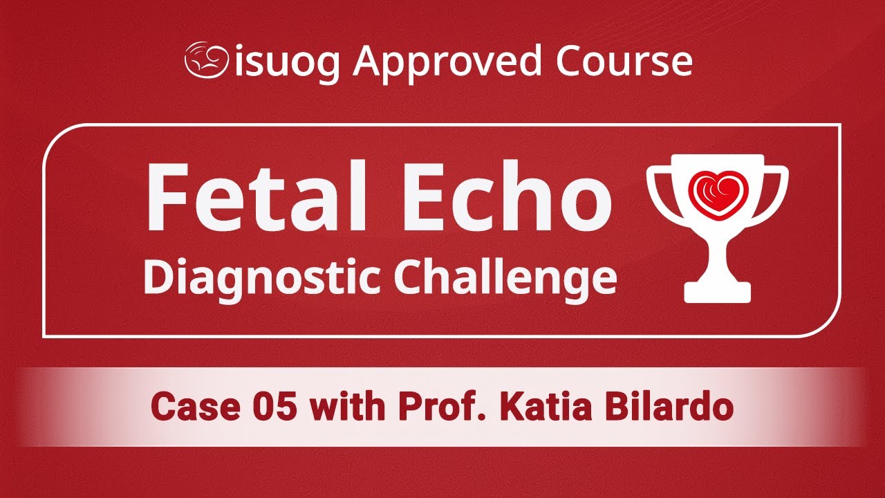 IFEDC | Case 5 with Prof. Katia Bilardo