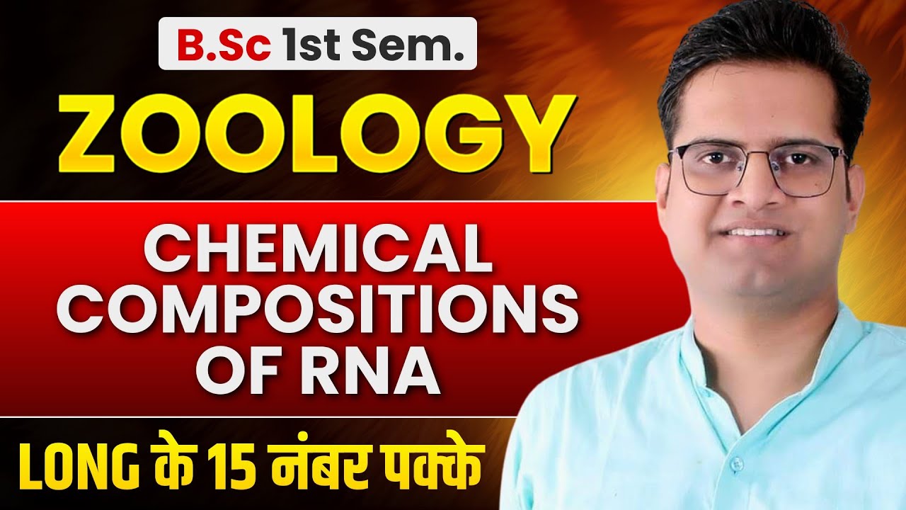 Chemical Composition Of RNA!B.Sc 1st Semester Zoology!Be DKDian