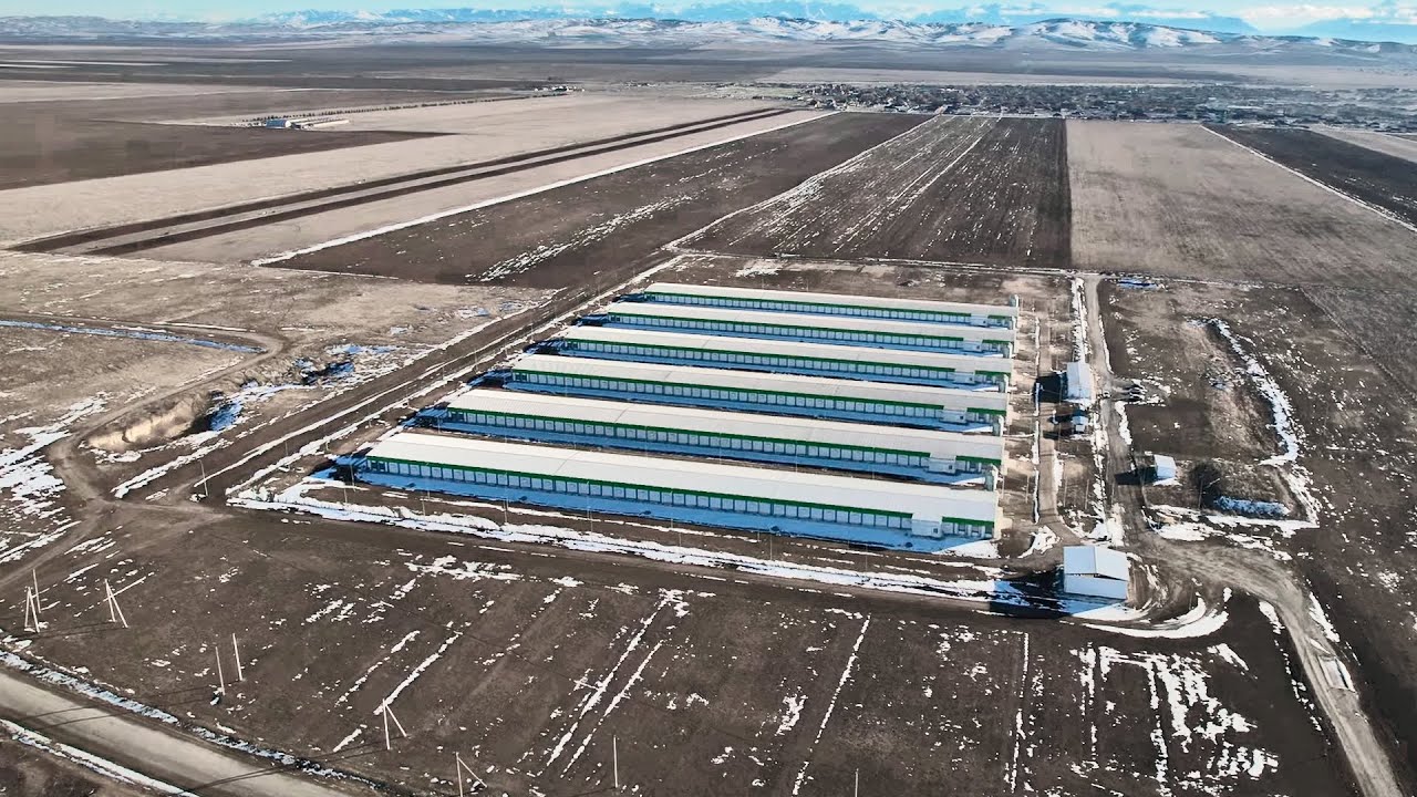 Птицекомплекс 