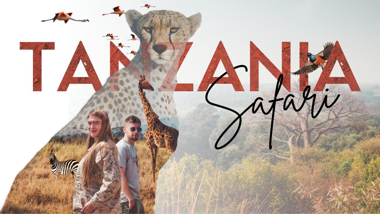 Notre premier Safari en TANZANIE 🇹🇿