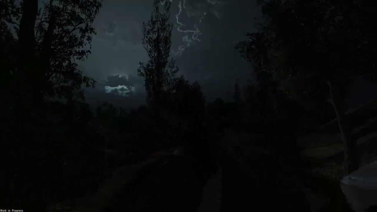 Stalker2-OC internal devtest 12.24.2024 (A24)