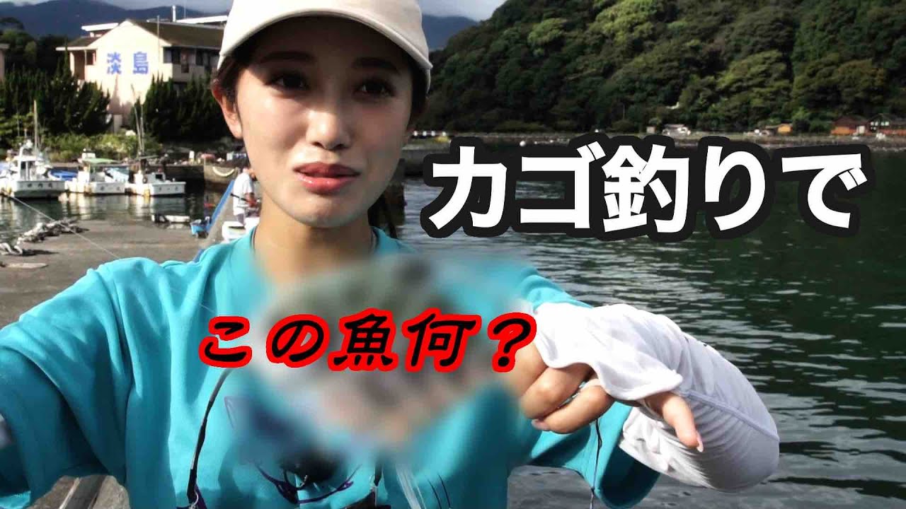 GO!GO!九ちゃんフィッシング #602　「ライトカゴ釣りで狙う回遊魚 珍しい魚も釣れました！」