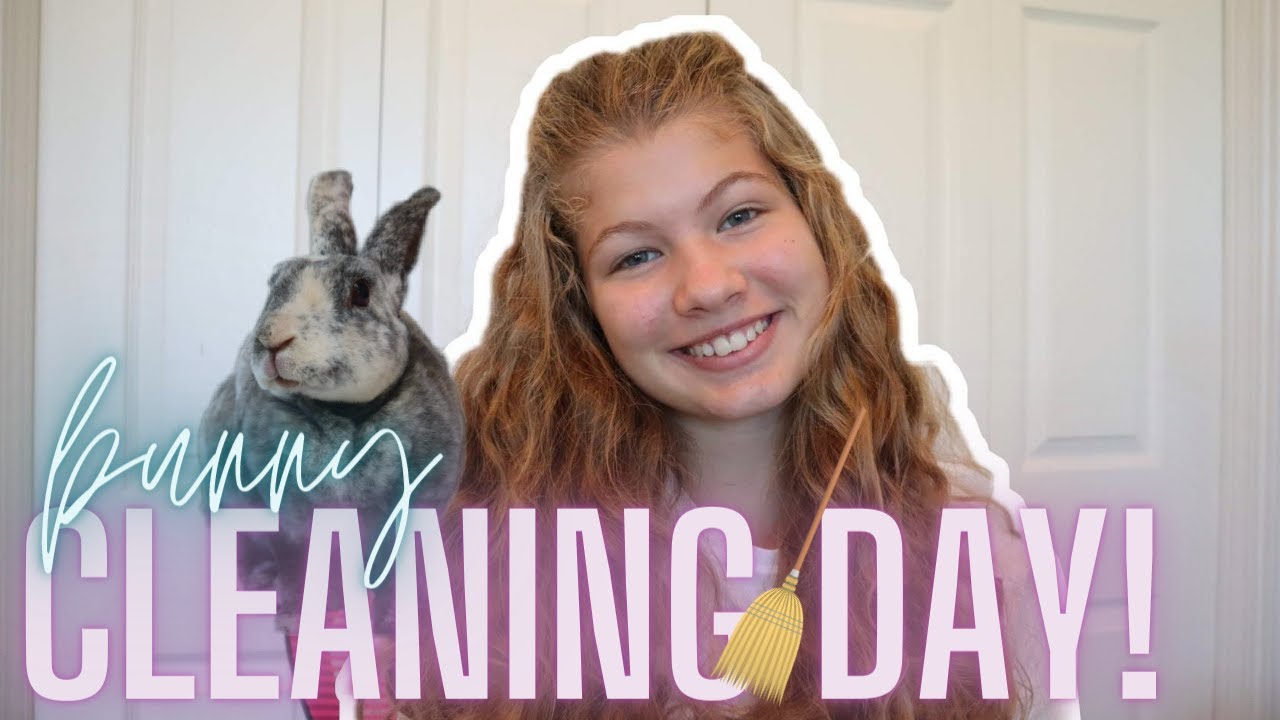 Bunny Cleaning Day! *satisfying* cleaning the shed and hutch
