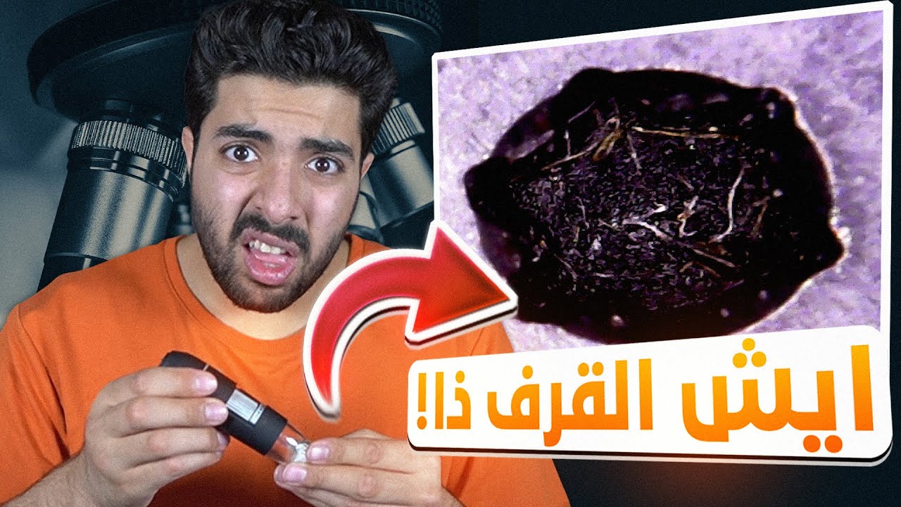 شوفوا شكل الاشياء المنزلية تحت الميكروسكوب 🤮🤮🤮 !!