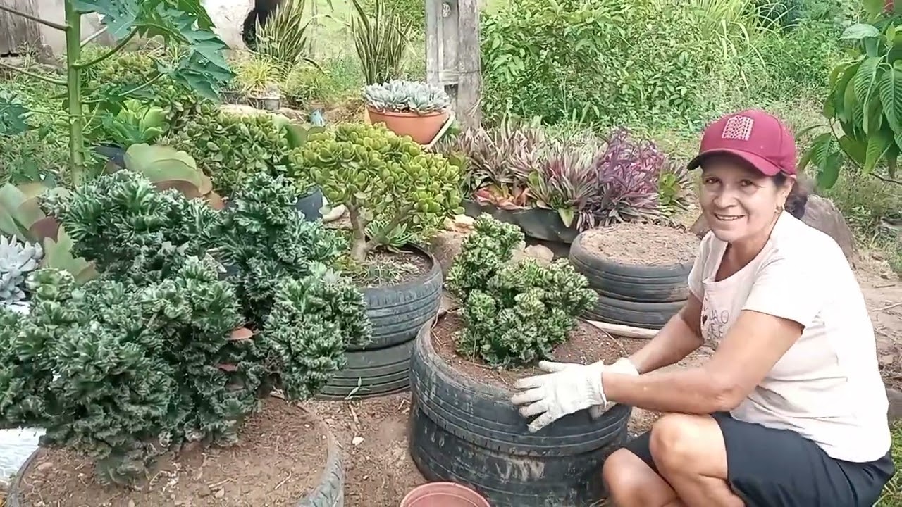 PLANTANDO MEUS CACTOS MONSTROS NOS PNEUS 