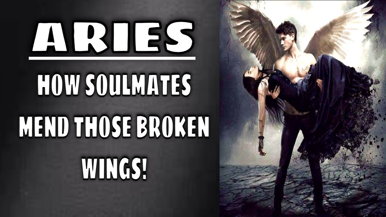 Aries Tarot: How Love Heals a Broken Wing! 💞