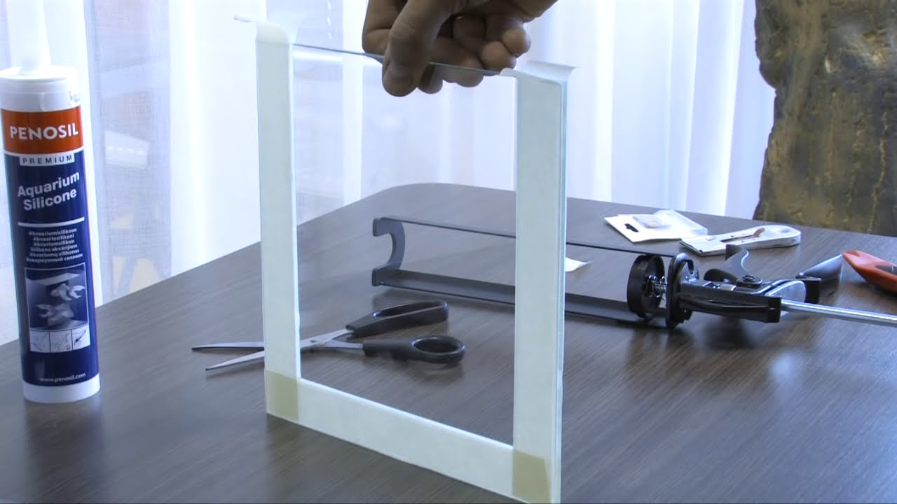 How to Make Your Own Fish Tank?