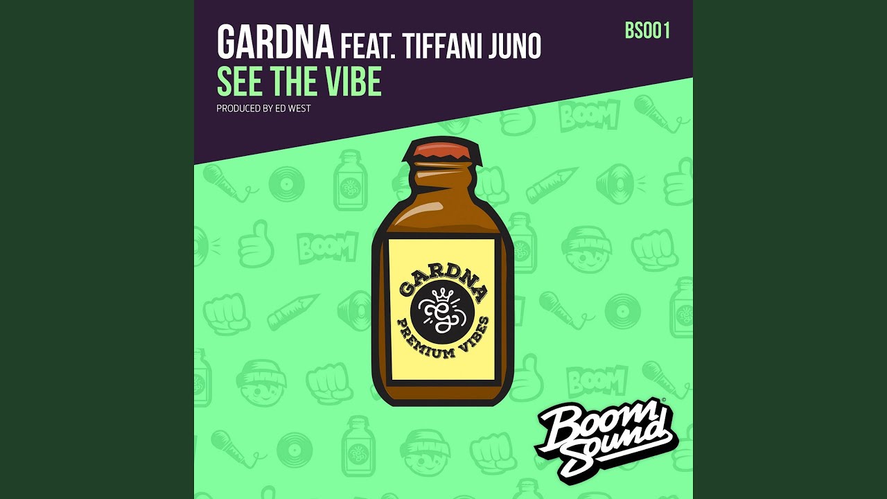 See The Vibe (feat. Gardna) (Ed Solo Remix)