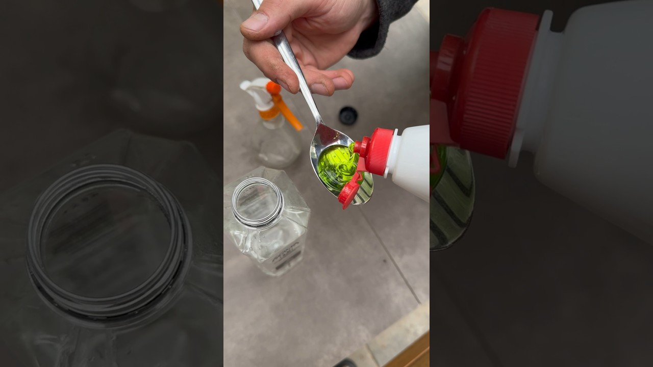 Easy solution to get rid of aphids from roses 🌹 #gardening #gardeningtips #garden #shorts #rose