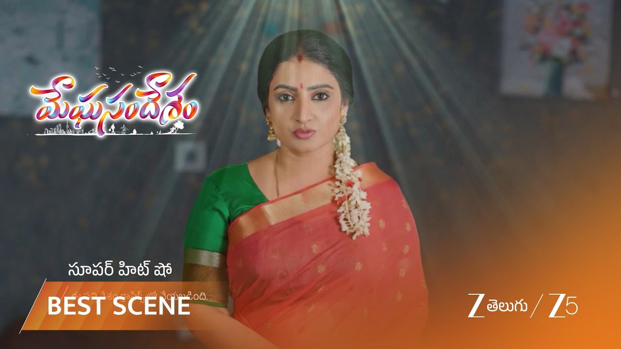 MEGHASANDESAM | శారద ప్రేమలో తన ప్రేమను చూడమని చెప్పిన ఆవిడ